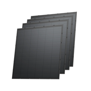 Сонячна панель EcoFlow 4*250W Rigid Solar Panel Стаціонарна EFSOLAR250W-R-D-LF-1-EU-4 фото
