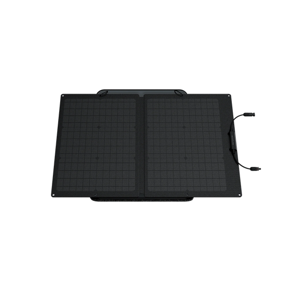 Сонячна панель EcoFlow 60W Solar Panel EFSOLAR60 фото