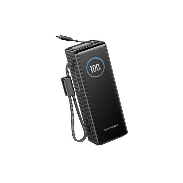 Павербанк EcoFlow RAPID Power Bank з кабелями 25000mAh чорний
