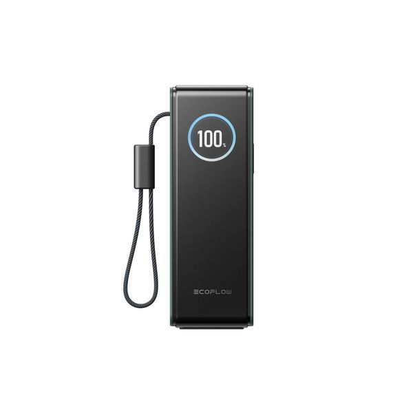 Павербанк EcoFlow RAPID Power Bank з кабелями 25000mAh зелений