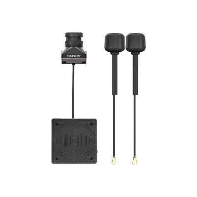 Видеосистема FPV CADDXFPV Walksnail Avatar HD Pro Kit 32G (Dual Antennas Version) (WN08-6S14B) WN08-6S14B фото