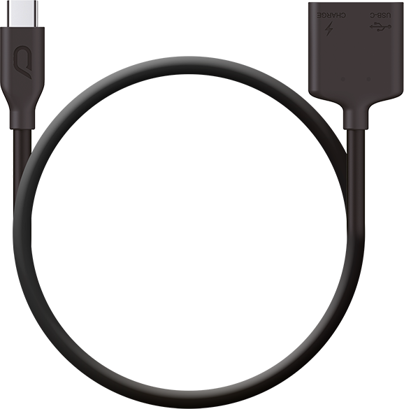 Адаптер KanDao QooCam 8K 2 in 1 USB cable with dual type C ports (for live streaming via Android cellphone, release in April 15th) 2726 фото