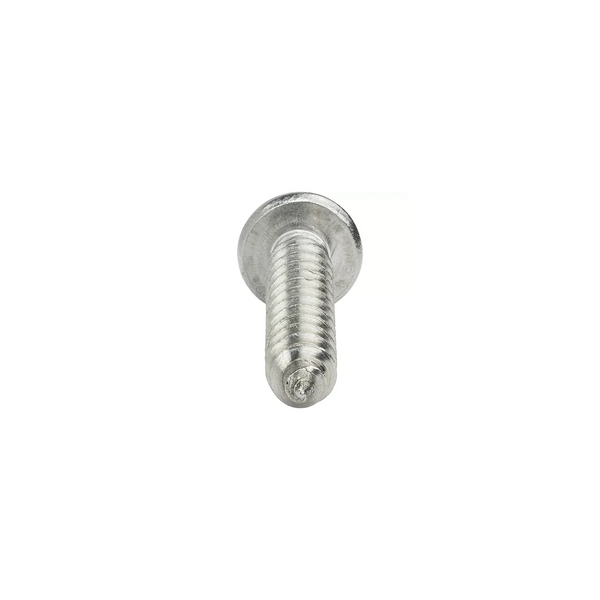 M2.5*10 Tapping Screw (02-004-00534)